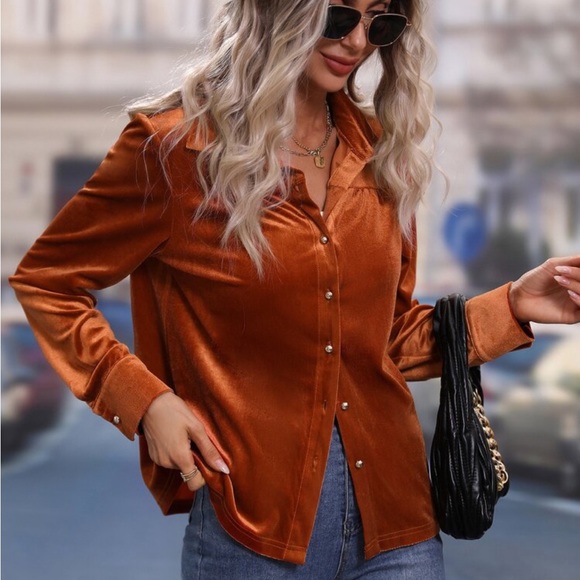 Luxe Velvet Button Down Shirt Top Blouse Rust - Picture 6 of 17